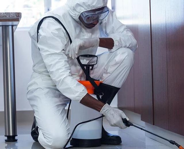 Technicien Clean Hygiène Protection en intervention de dératisation à Paris (75)