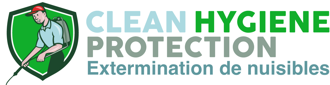 Clean Hygiène Protection
